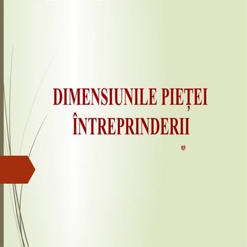Dimensiunile pietei intreprinderii