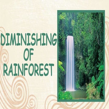 Diminishing of rain forests