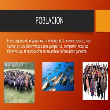 3º Civilización U11º VA: Dinamica poblacional