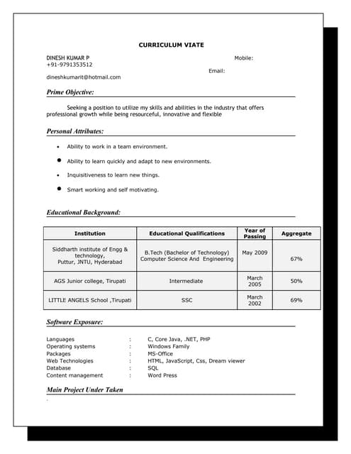 Dinesh cv