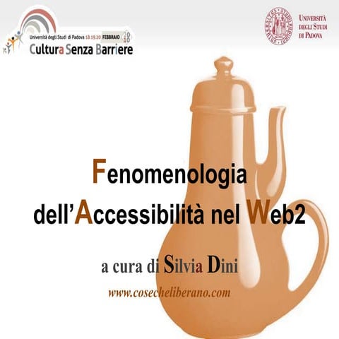 Fenomenologia dell'accessibilità nel web 2 (2010)