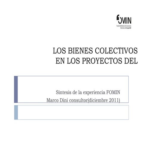 Dini Marco Bienes Colectivos en los proyectos DEL