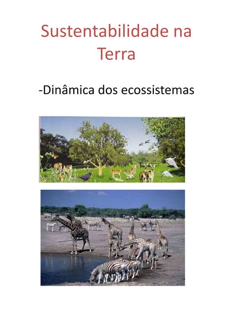 Dinâmica dos ecossistemas