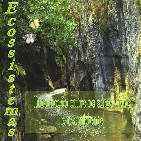 Dinâmica dos ecossistemas.