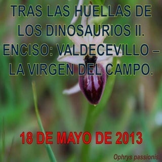 Dinosaurios II (yacimientos de icni...