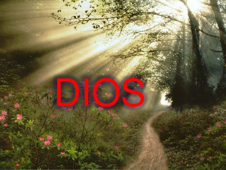 Dios