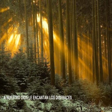 Dios cercano, se disfraza, sorprende