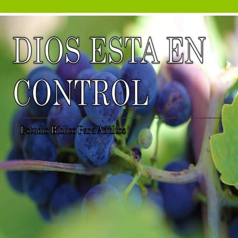 Maravillado Estoy | PPT