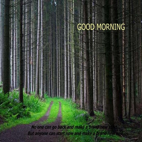 dipalhorizontaljawrelation-170709154117.pdf