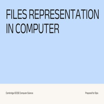 Comprehensive Guide to Files Representation and Compression in ...