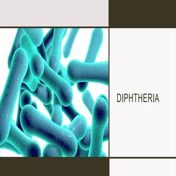 Clinical management of diphtheria in nelson.pptx