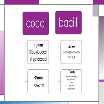 diphtheria and listeria and thier virulence factor pptx