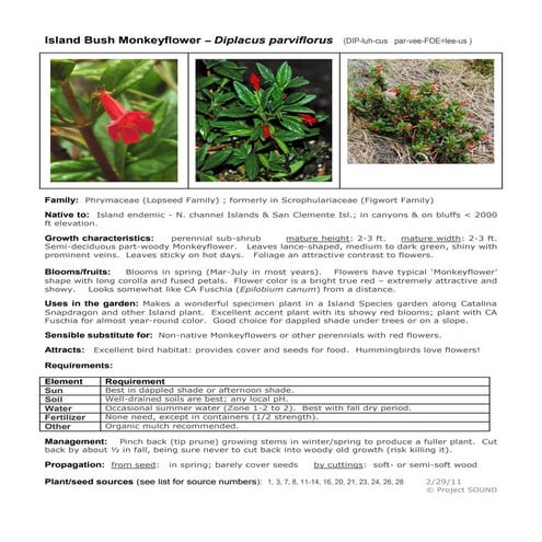 Diplacus parviflorus