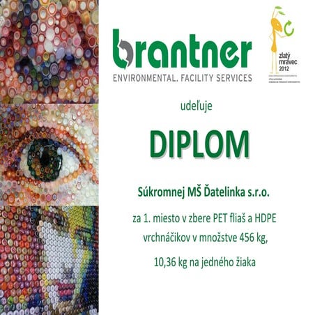 Diplom1