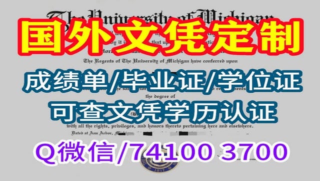 办英国大学毕业证学位证奇切斯特大学毕业证制作|