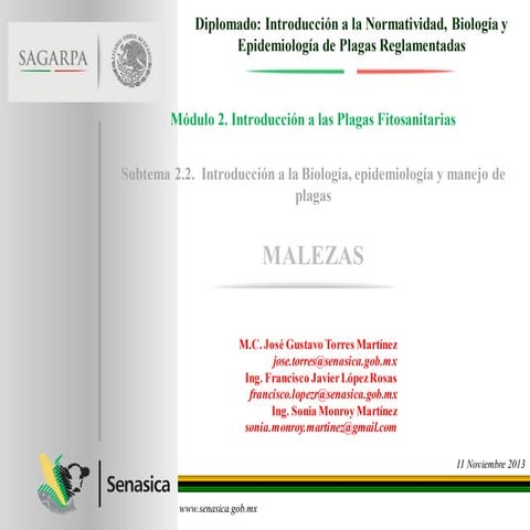 Diplomado malezas