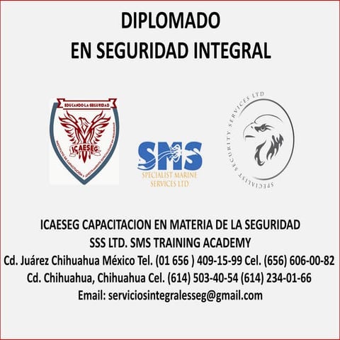 Diplomado de seguridad integral | PDF