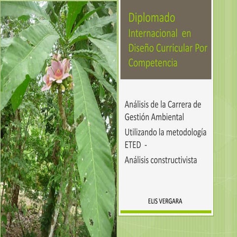 Diplomado internacional en diseño curricular por competencia