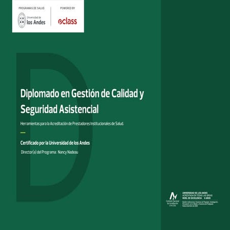 Diplomado U Andes Gestión de Calidad.pdf