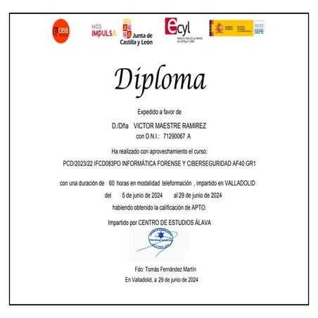 Diploma Informática Forense y Ciberseguridad | PDF