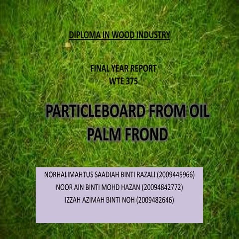 PARTICLEBOARD EXPERIMENT