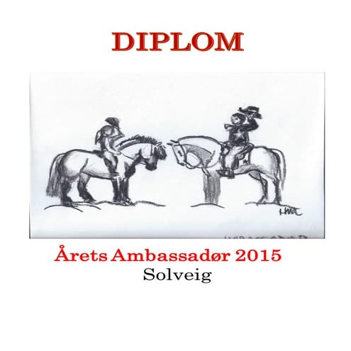Diplomserie 2015(1)