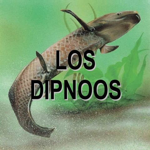 Dipnoos