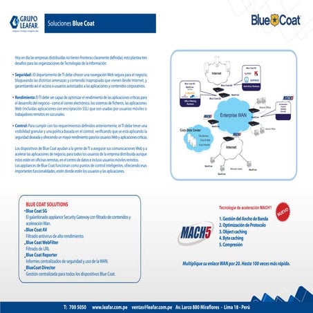 Networking&energía: BlueCoat