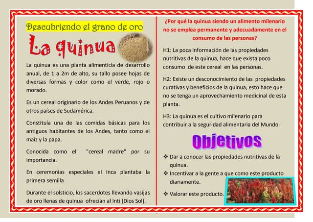 Diptico de la quinua con cuadro