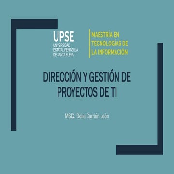 INTRODUCCION A LA GESTION DE LOS PROYECTOS | PDF