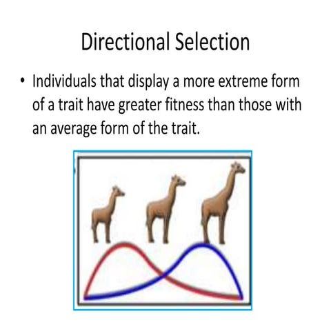 Directional Selection