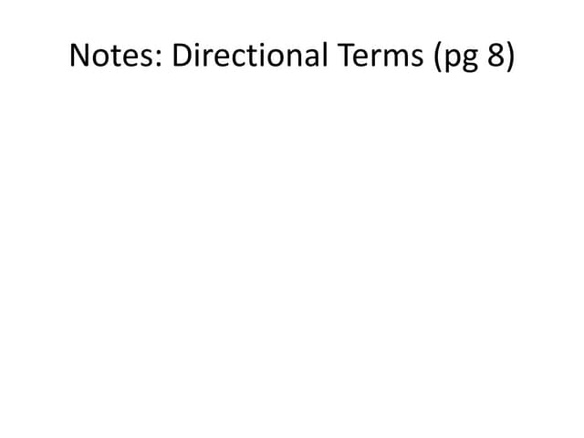 Directional terms