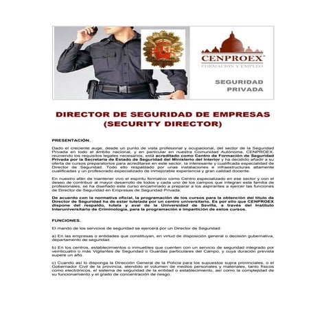 Director de Seguridad | PDF