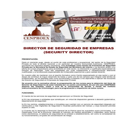 Director de seguridad | PDF