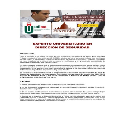 Director de seguridad | PDF