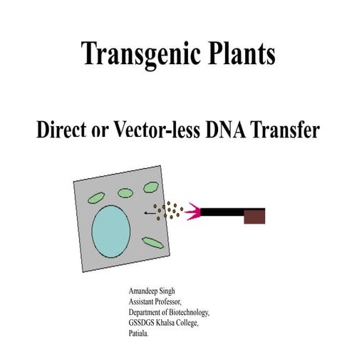 Direct or vector less dna transfer