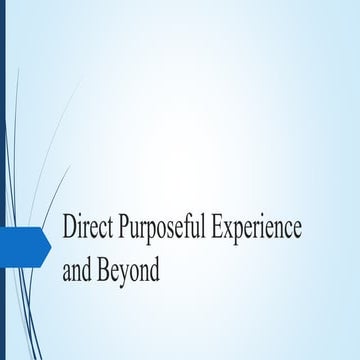 Direct purposeful experience and beyond by Raquel Marasigan