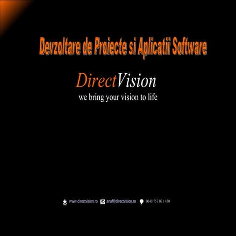 Direct vision   servicii software
