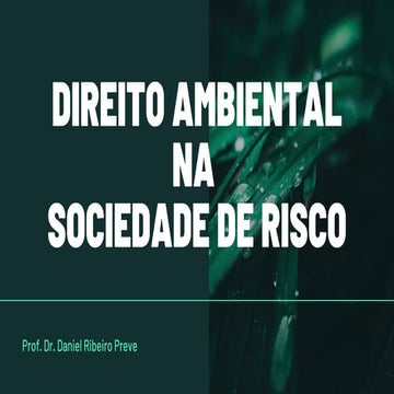 DIREITO AMBIENTAL E SOCIEDADE DE RISCO.pdf
