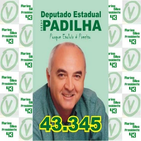 Diretrizes básicas propostas 2010