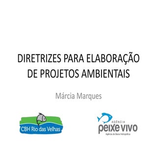 Diretrizes para elaboração de pro...