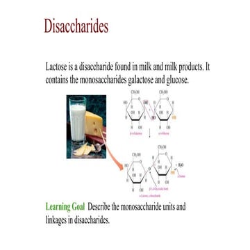 Disaccharides
