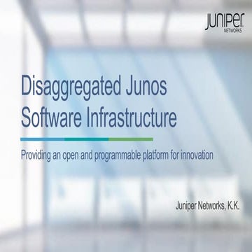 Disaggregated Junos Software Infrastructure