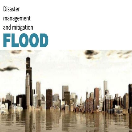 Disaster management and mitigation