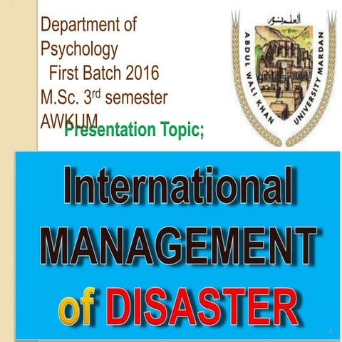 international Disastermanagement