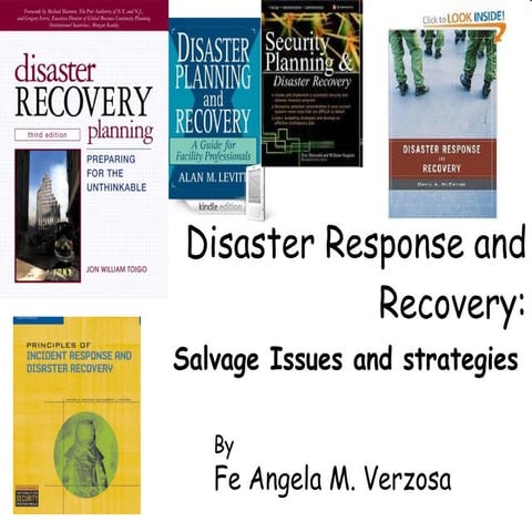 Disaster Response and Recovery: Salvage Issues and Concerns