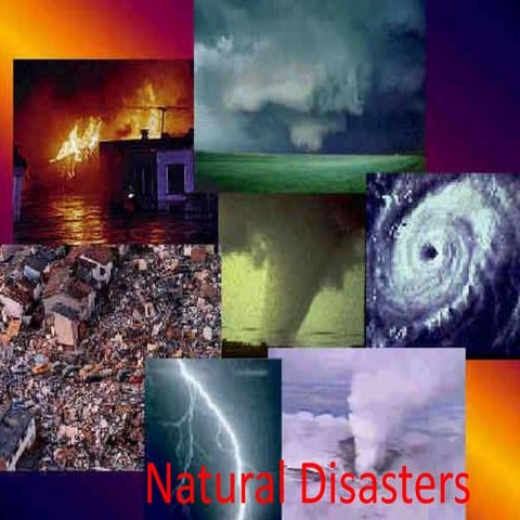 Disaster management | PPTX