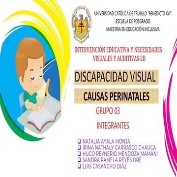 discapacidadvisual-grupo 3-otro.pdf