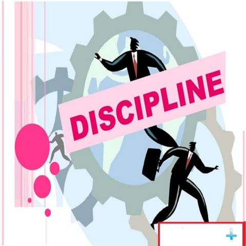 Discipline 