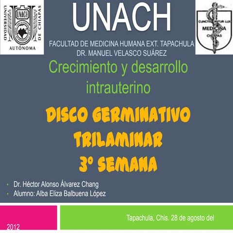 Disco germinativo trilaminar